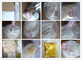 High Pure Tren Anabolic Steroid Trenbolone Acetate Powder CAS 10161-34-9