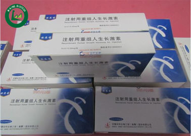 Injectable 100iu HGH Human Growth Hormone Steroid Ansomone For Burning
